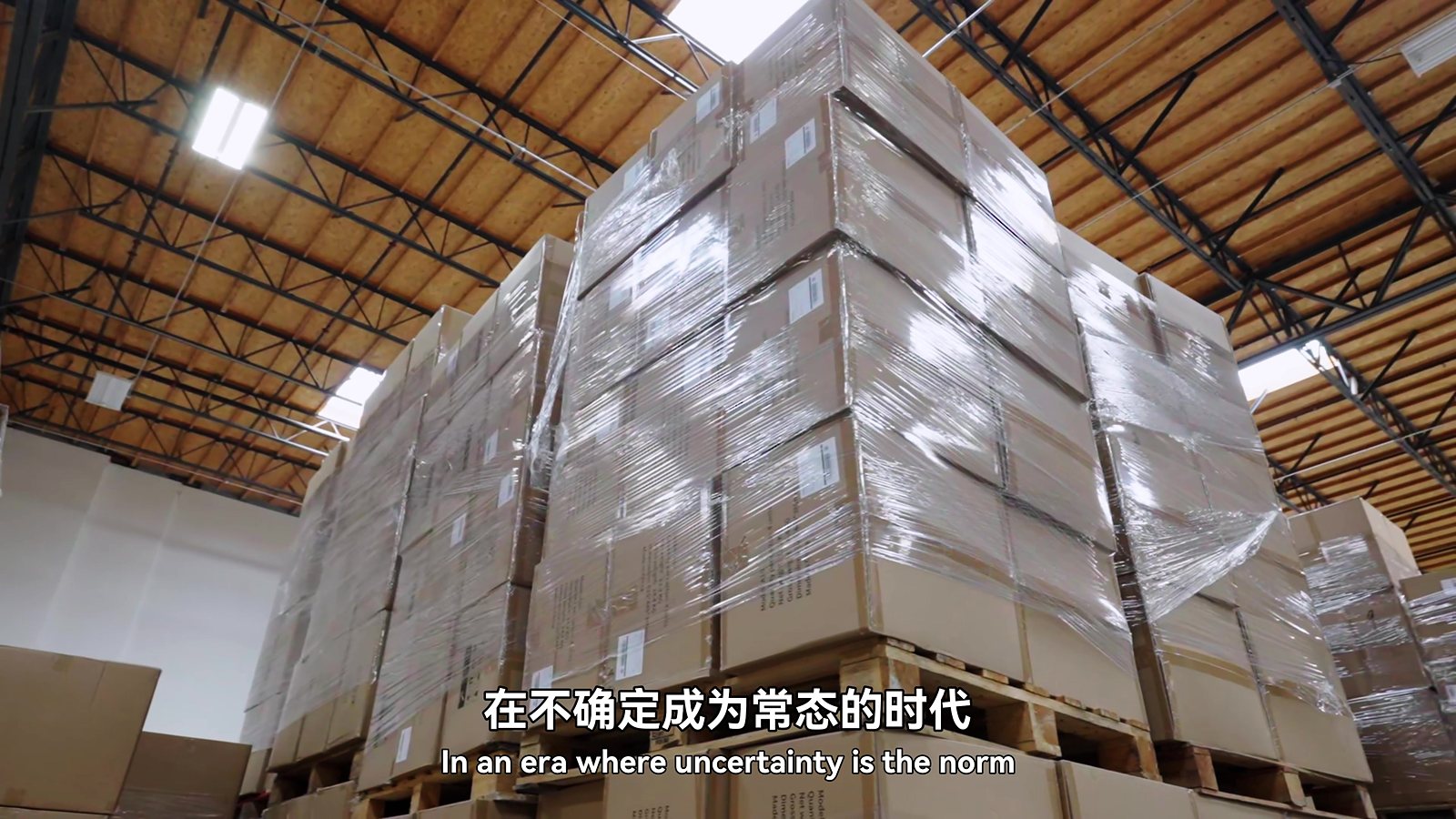 ZNT Logistics 剧照 3